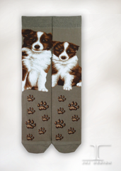 Dogs - Border Collie One Size