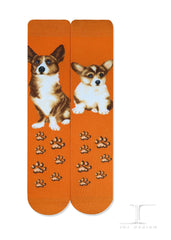 Dogs - Welsh Corgi Socks