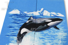 Waterworld - Killer Whale