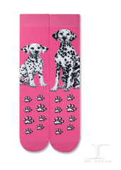 Dogs - Dalmation One Size